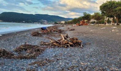 Kışlık odun ihtiyaçlarını sahile vuran odundan karşılıyorlar