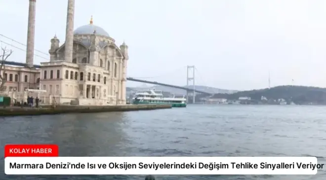 Marmara Denizi’nde Isı ve Oksijen Seviyelerindeki Değişim Tehlike Sinyalleri Veriyor