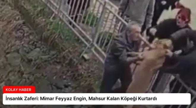 İnsanlık Zaferi: Mimar Feyyaz Engin, Mahsur Kalan Köpeği Kurtardı