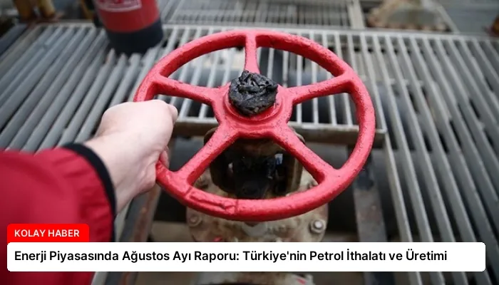 Enerji Piyasasında Ağustos Ayı Raporu: Türkiye’nin Petrol İthalatı ve Üretimi