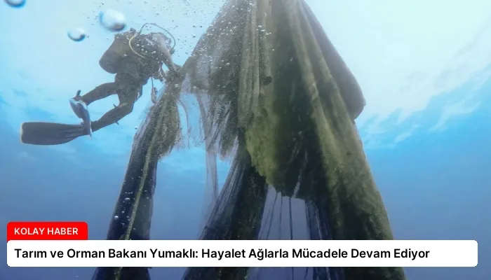 Tarım ve Orman Bakanı Yumaklı: Hayalet Ağlarla Mücadele Devam Ediyor