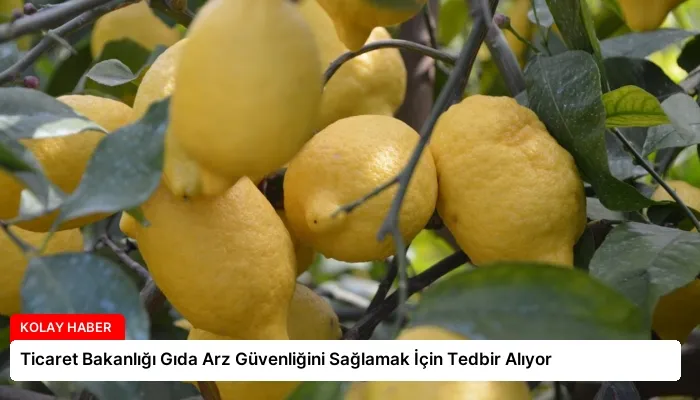 Ticaret Bakanlığı Gıda Arz Güvenliğini Sağlamak İçin Tedbir Alıyor