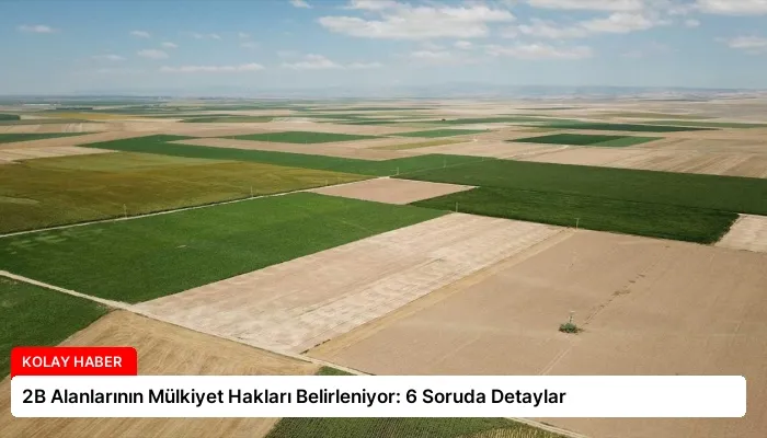 2B Alanlarının Mülkiyet Hakları Belirleniyor: 6 Soruda Detaylar