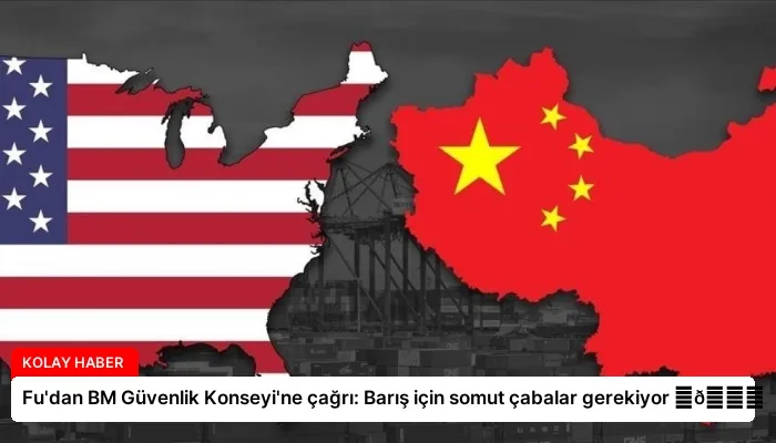 Fu’dan BM Güvenlik Konseyi’ne çağrı: Barış için somut çabalar gerekiyor ⏬👇