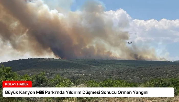 Büyük Kanyon Milli Parkı’nda Yıldırım Düşmesi Sonucu Orman Yangını