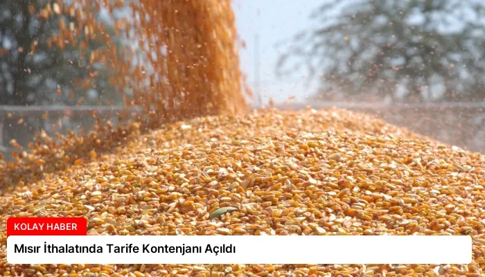 Mısır İthalatında Tarife Kontenjanı Açıldı