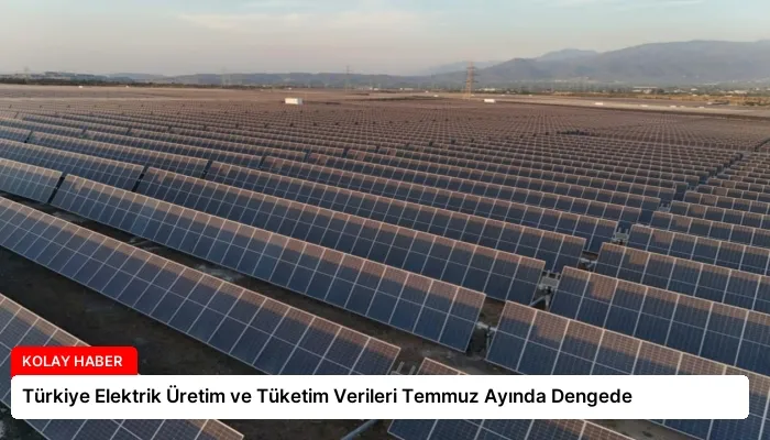 Türkiye Elektrik Üretim ve Tüketim Verileri Temmuz Ayında Dengede