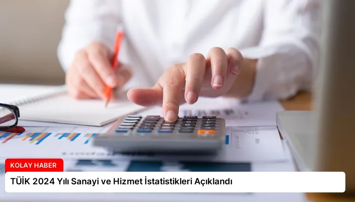 TÜİK 2024 Yılı Sanayi ve Hizmet İstatistikleri Açıklandı
