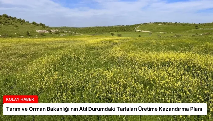Tarım ve Orman Bakanlığı’nın Atıl Durumdaki Tarlaları Üretime Kazandırma Planı