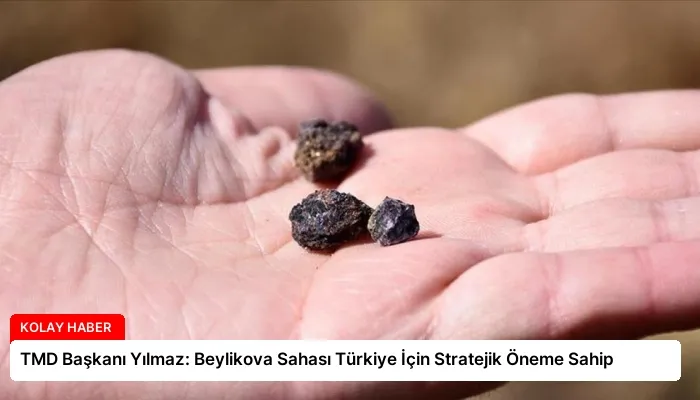 TMD Başkanı Yılmaz: Beylikova Sahası Türkiye İçin Stratejik Öneme Sahip