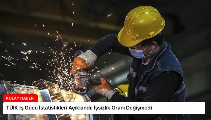 TÜİK İş Gücü İstatistikleri Açıklandı: İşsizlik Oranı Değişmedi