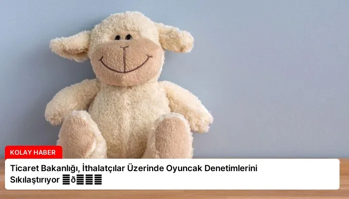 Ticaret Bakanlığı, İthalatçılar Üzerinde Oyuncak Denetimlerini Sıkılaştırıyor ⏬👇