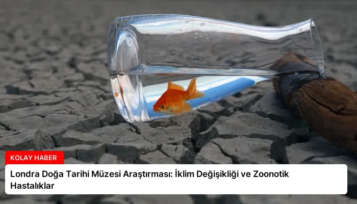 Londra Doğa Tarihi Müzesi Araştırması: İklim Değişikliği ve Zoonotik Hastalıklar