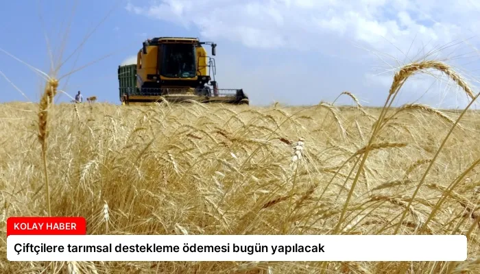 Çiftçilere tarımsal destekleme ödemesi bugün yapılacak