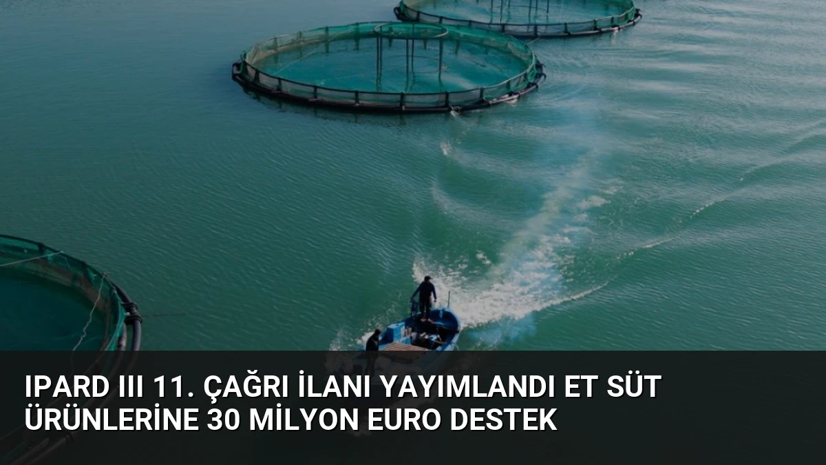 IPARD III 11. Çağrı İlanı Yayımlandı Et Süt Ürünlerine 30 Milyon Euro Destek
