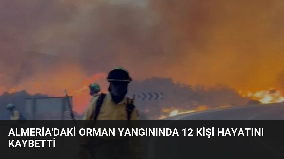 Almeria’daki Orman Yangınında 12 Kişi Hayatını Kaybetti