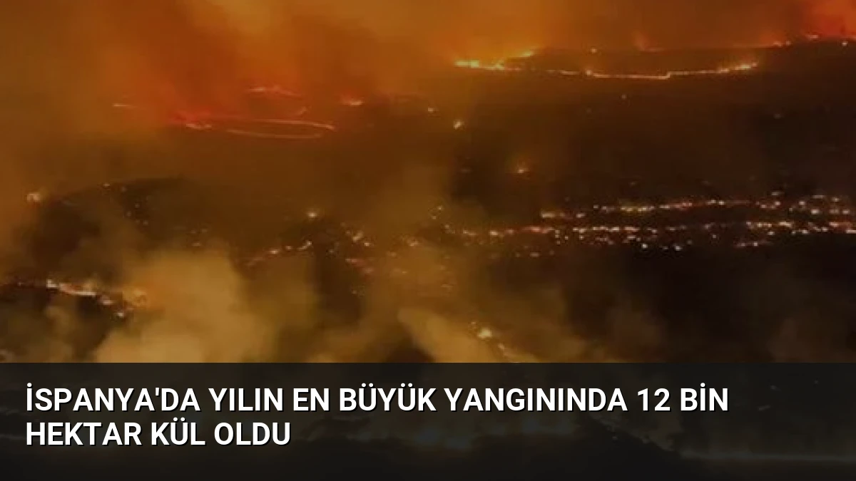 İspanya’da Yılın En Büyük Yangınında 12 Bin Hektar Kül Oldu