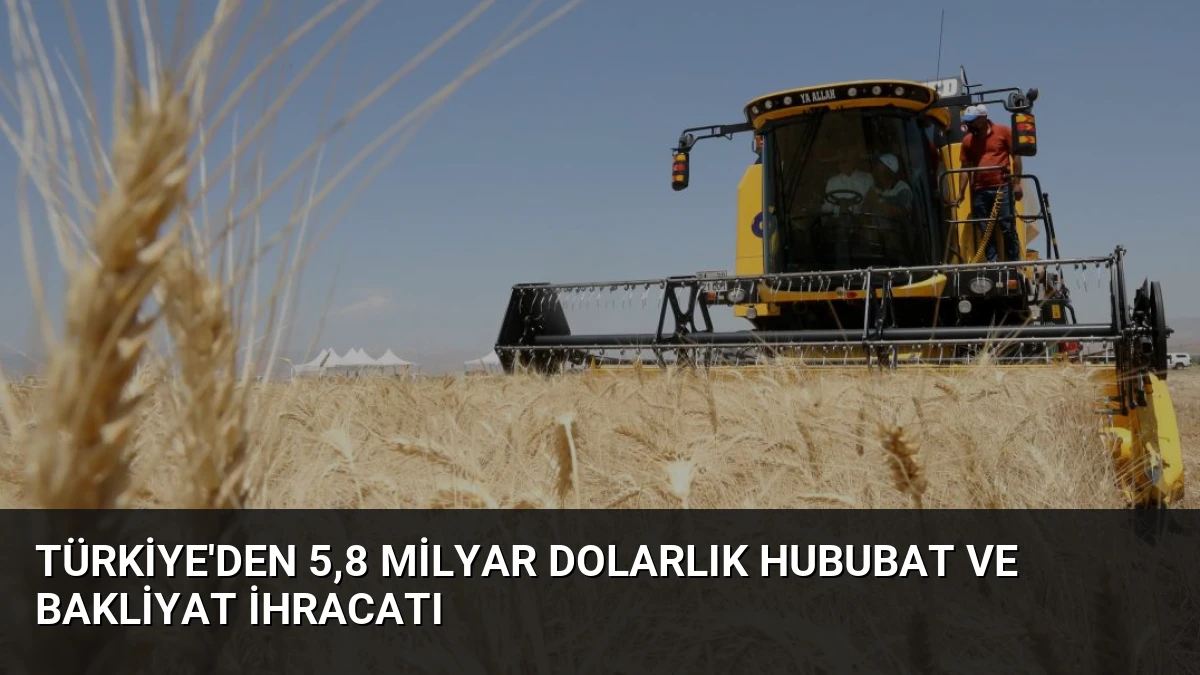 Türkiye’den 5,8 Milyar Dolarlık Hububat ve Bakliyat İhracatı