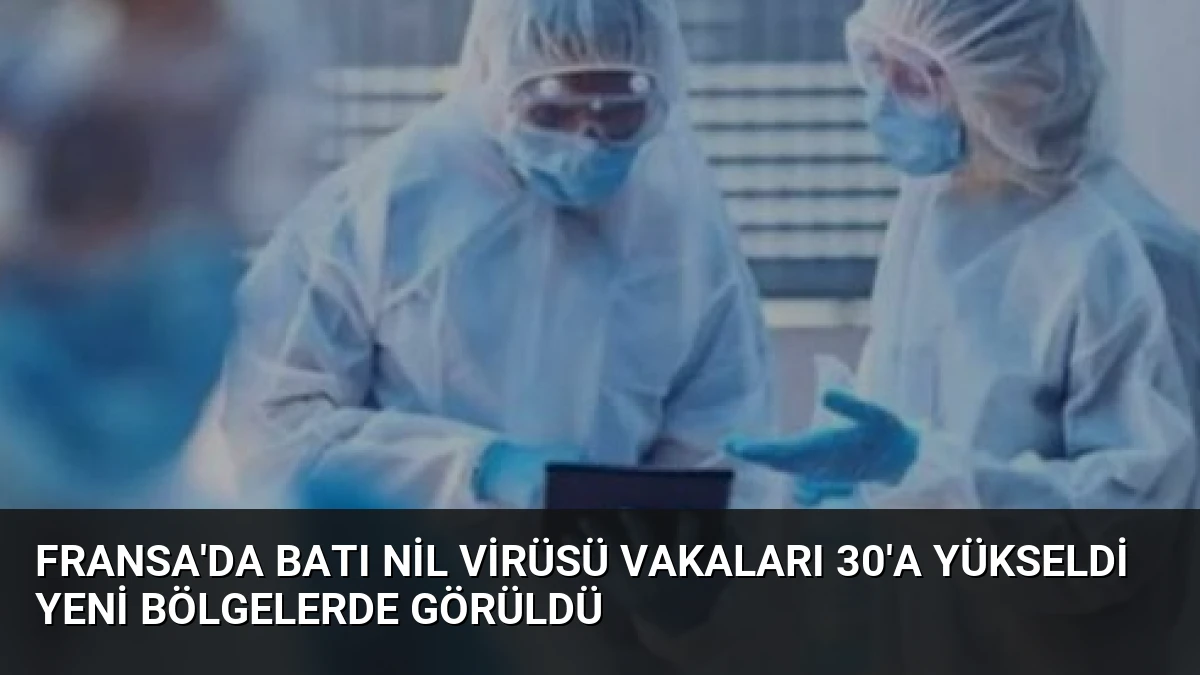 Fransa’da Batı Nil Virüsü Vakaları 30’a Yükseldi Yeni Bölgelerde Görüldü