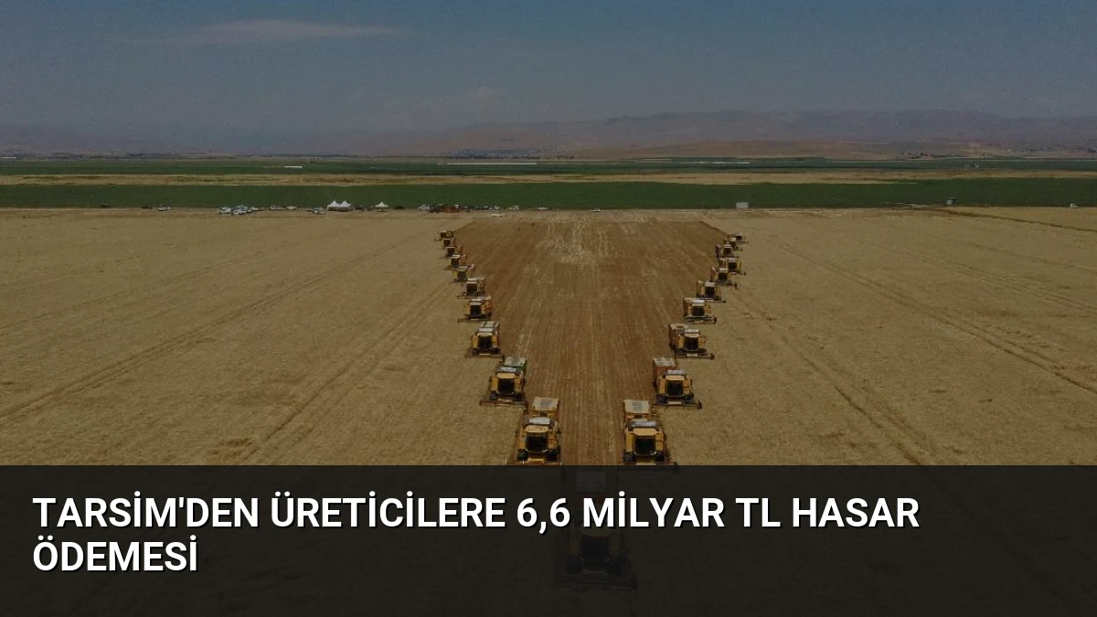 TARSİM’den üreticilere 6,6 milyar TL hasar ödemesi