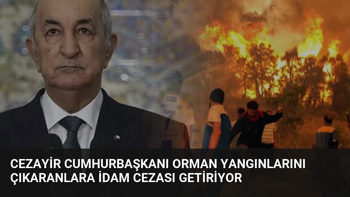 Cezayir Cumhurbaşkanı Orman Yangınlarını Çıkaranlara İdam Cezası Getiriyor
