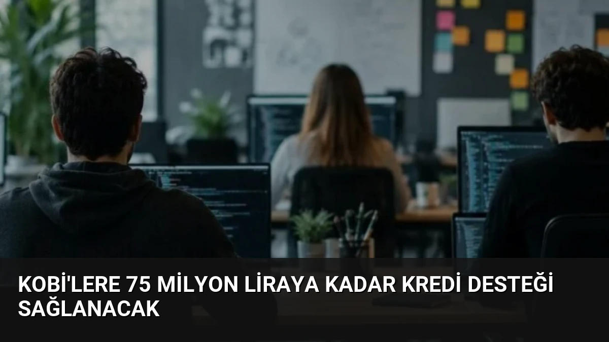 KOBİ’lere 75 Milyon Liraya Kadar Kredi Desteği Sağlanacak