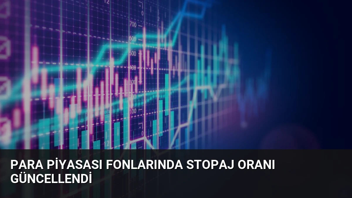 Para Piyasası Fonlarında Stopaj Oranı Güncellendi