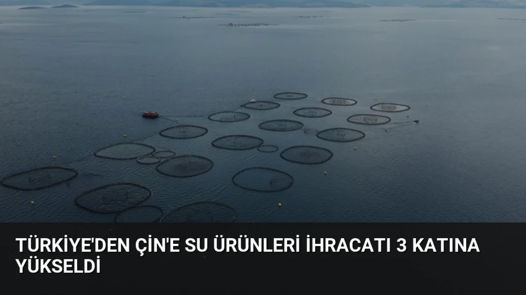 Türkiye’den Çin’e Su Ürünleri İhracatı 3 Katına Yükseldi